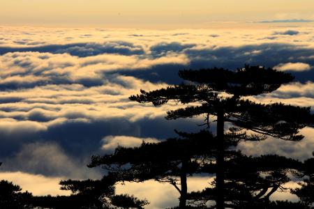 雨后黃山“觀海”